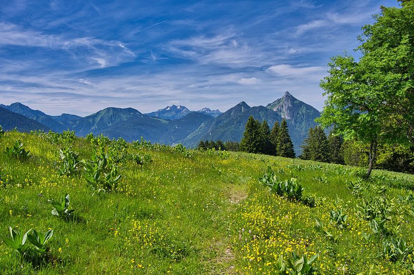 Vue sur le sommet par Tanja Voigt