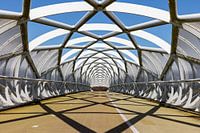 Portlandsebrug "De Netkous" A15 Rotterdam