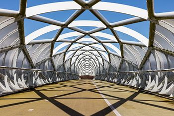 Portlandsebrug "De Netkous" A15 Rotterdam