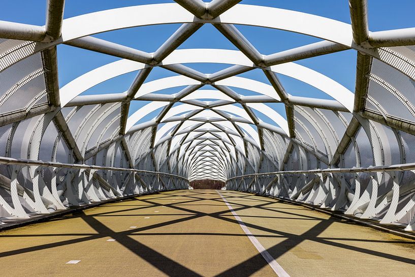 Portlandsebrug &quot;De Netkous&quot; A15 Rotterdam von Erik Verheggen