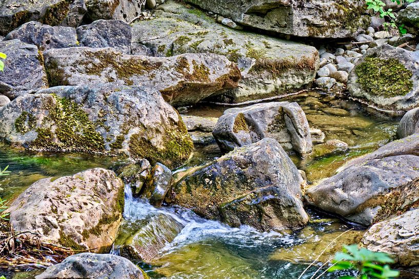 Chemin de randonnée dans l'Allgäu par Roith Fotografie