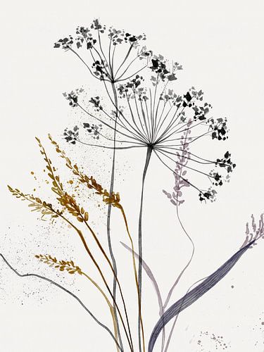 Koningin Anne's Kant