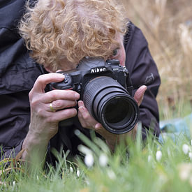 Bep van Pelt- Verkuil profielfoto