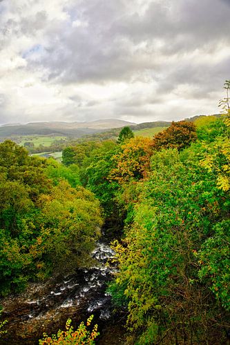 The natute of Snowdonia in Wales
