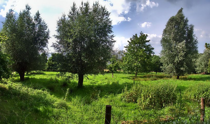 Schwieringhausen 7 par Edgar Schermaul