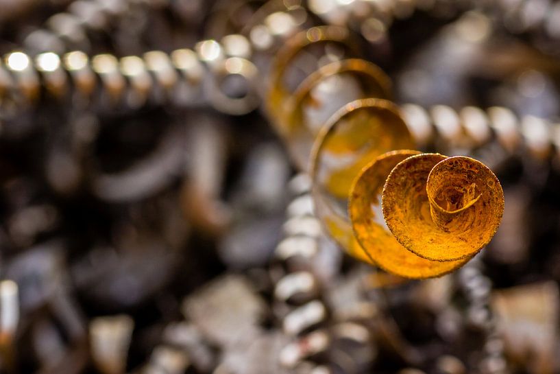 Roest von Martzen Fotografie