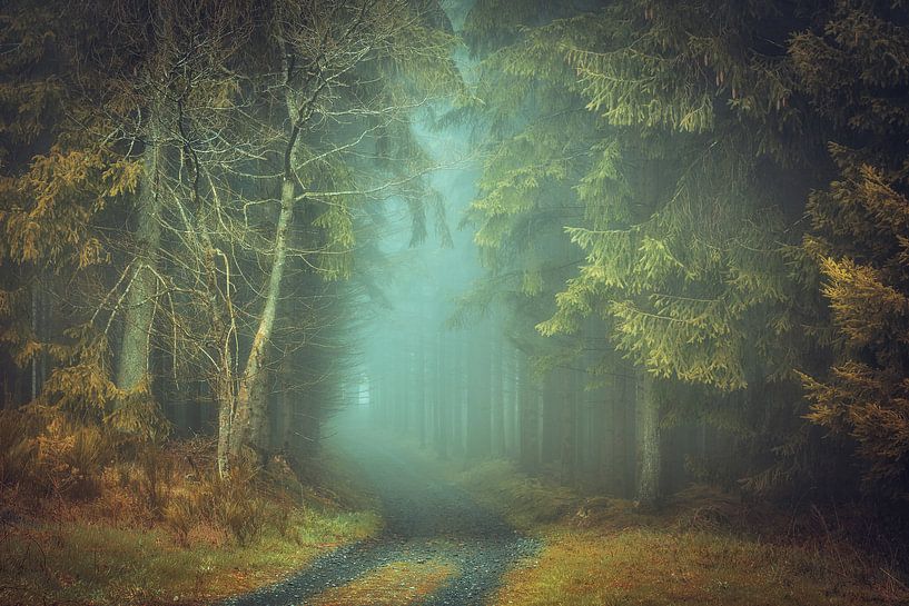 Foggy morning van Erik de Jong
