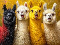 Alpaca humour