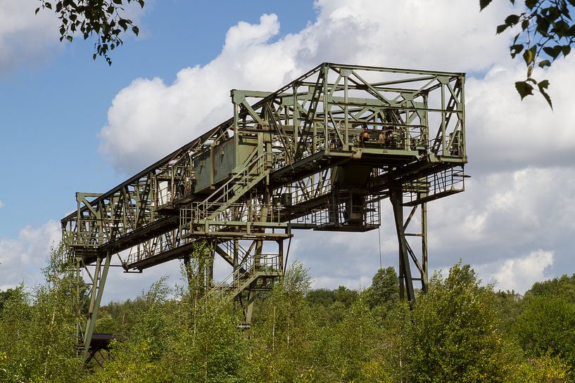 Stahl-Dinosaurier von QEIMOY