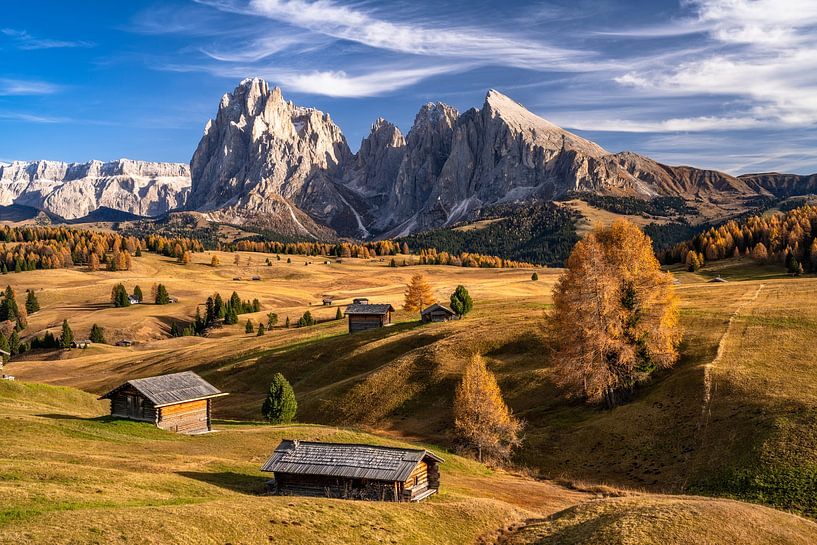 Alpe di Siusi in South Tyrol in autumn by Achim Thomae Photography