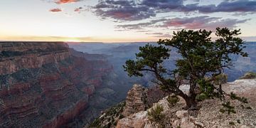 Wonderful Grand Canyon Sunset (2) by Hans Brinkel