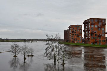 Nasse Füße von Bernard van Zwol