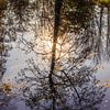 Spiegelung eines Herbstbaumes von Bas Rutgers