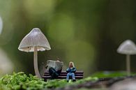 Miniatuurfiguren ontspannen op een bankje onder gigantische paddenstoelen van ChrisWillemsen thumbnail
