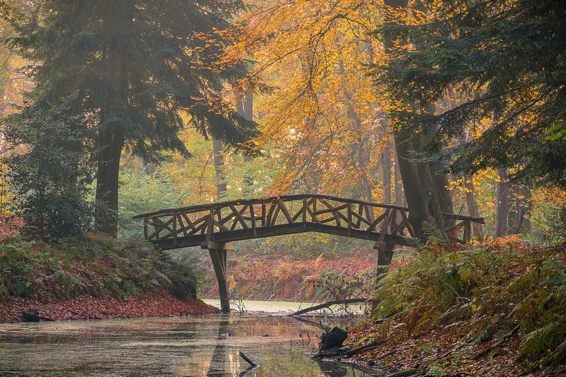 Herfst in Slochteren van Marga Vroom