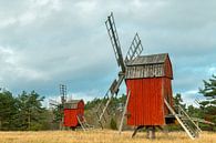 De rode molens van Öland van Gerry van Roosmalen thumbnail