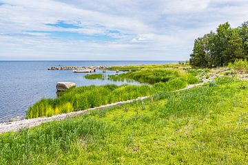 Landschap aan de Oostzeekust op het eiland Öland in Zweden van Rico Ködder