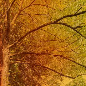 Silhouette eines Baumes in warmen Farbtönen von Lisette Rijkers