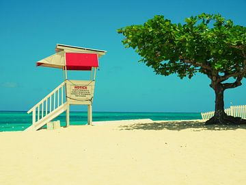 Carribean paradise by Laura Siegrist