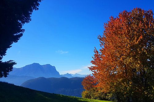 Ein Moment vollkommener herbstlicher Stille von Theodor Decker