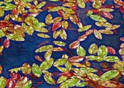 Floating Leaves (Drijvende Bladeren) van Caroline Lichthart thumbnail