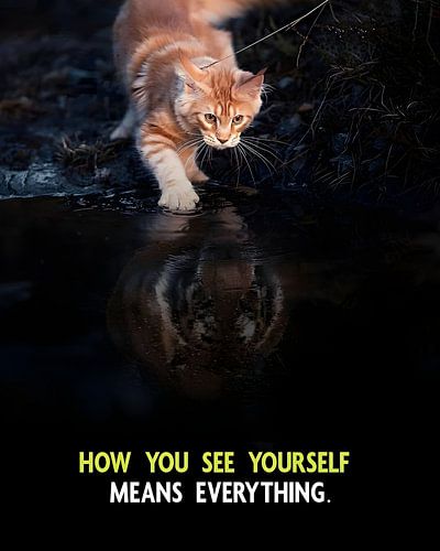 hoe je jezelf ziet betekent alles