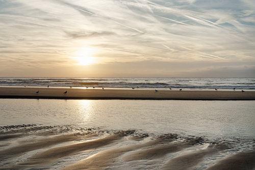 Ambiance du soir sur la plage de la mer du Nord