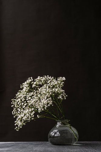 Fotodruck | Schleierkraut | Modernes Stillleben | Botanisch