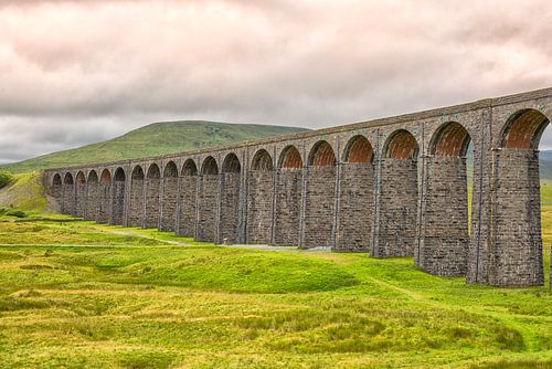 Ribblehead viaduct  van Patricia Hofmeester