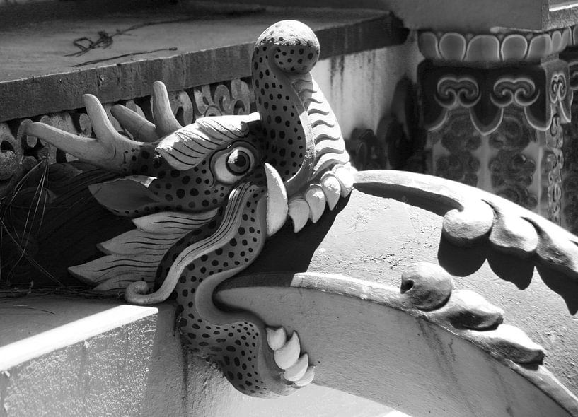 Tête de dragon par CJ - Fotografie
