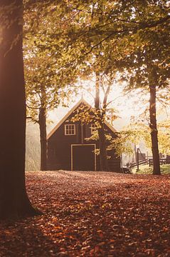 Herfst van Nancy van Verseveld