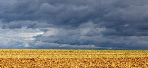 contraste du paysage