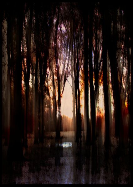 The woods par Bram van Kattenbroek