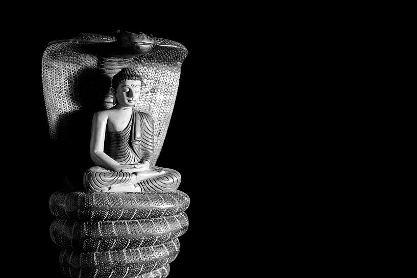 Bouddha, sculpture en bois, noir et blanc, Tangalle, Sri Lanka. par Barbara Merlone