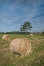 Hay Rolls by Moetwil en van Dijk - Fotografie thumbnail