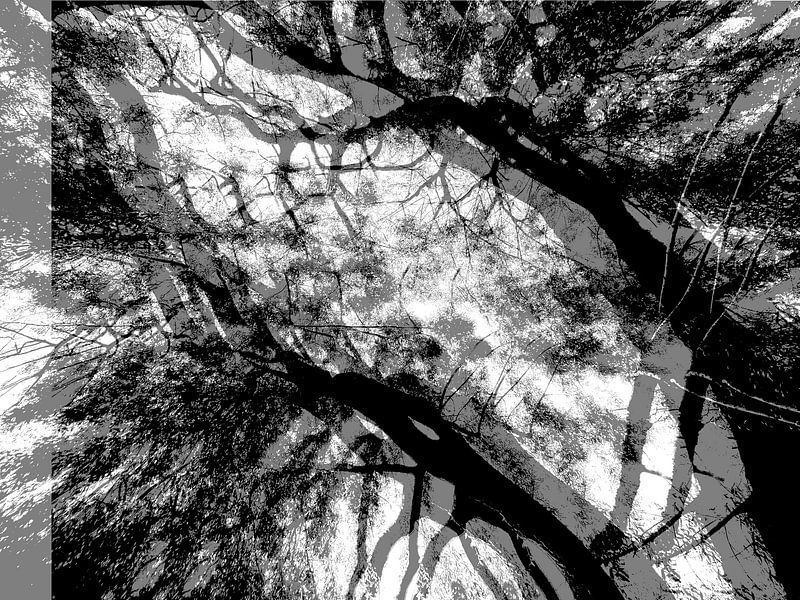 Tree Magic 90 von MoArt (Maurice Heuts)