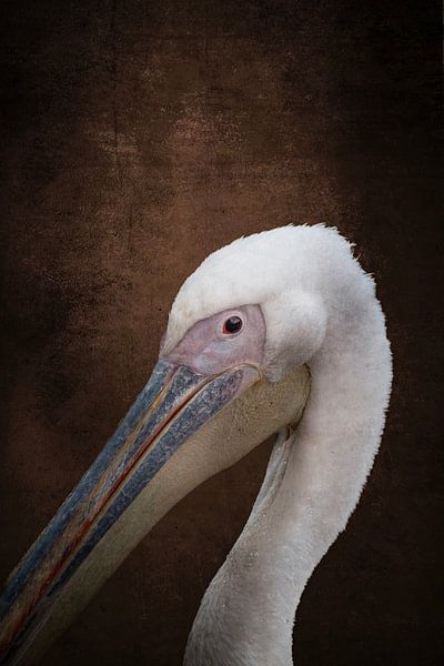 Majestic Rest Pelican Portrait Terracotta Brown by Femke Ketelaar