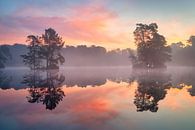 Oisterwijkse bossen en vennen van Antoine van de Laar thumbnail