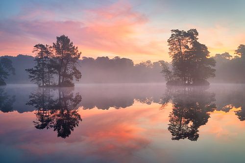 Oisterwijkse bossen en vennen
