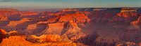 Grand Canyon bij zonsopgang, South Rim, Arizona, VS van Markus Lange thumbnail