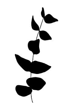 Botanical basics. Black and white drawing of simple leaves no. 7 by Dina Dankers