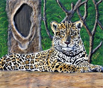 Respect of the Jaguar van Floris Betrouw