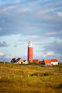 Texel Leuchtturm von Sjoerd van der Wal Fotografie