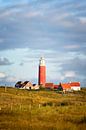 Texel Leuchtturm von Sjoerd van der Wal Fotografie Miniaturansicht