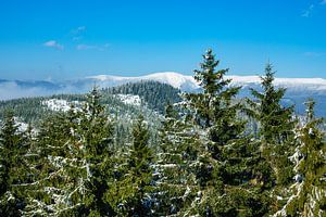 Winter with snow in the Giant Mountains van Rico Ködder