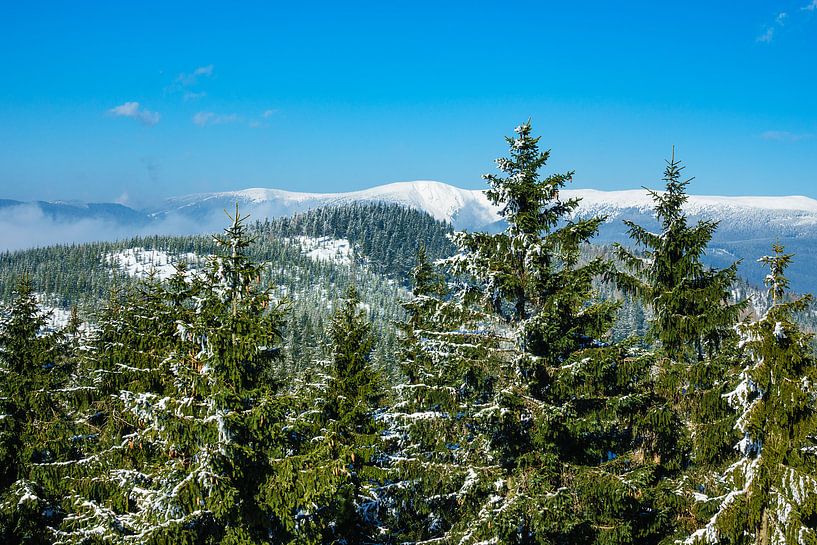 Winter im Riesengebirge bei Benecko, Tschechien par Rico Ködder