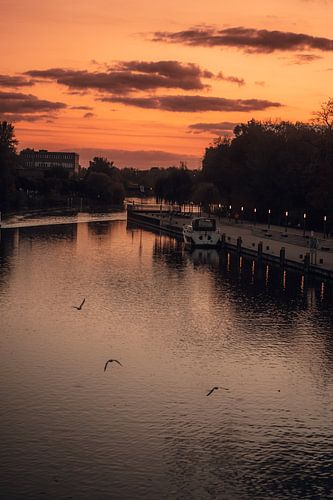 Sonnenuntergang Brandenburg Strassenfotografie Himmel Sonny