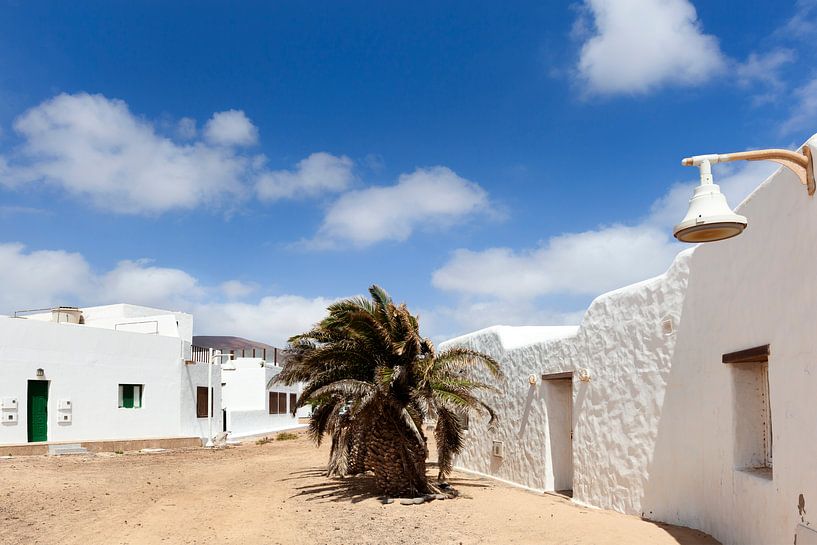 Street with white houses and a palm tree in Caleto de Sebo of Lanzarote by Peter de Kievith Fotografie