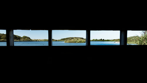 From the bird hide