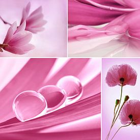 Blumen Collage von Violetta Honkisz